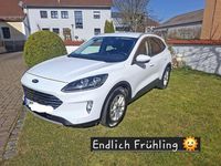 Gebraucht Ford Kuga Titanium X 150 PS (110 kW) 2021 Weiß SUV