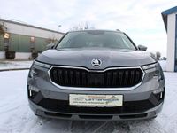 Gebraucht Skoda Kamiq Selection 150 PS (110 kW) 2025 Grau SUV