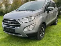 Usado Ford Ecosport Titanium 125 CV (91 kW) 2020 Gris SUV