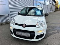 Gebraucht Fiat Panda 69 PS (50 kW) 2021 Weiß Limousine