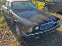 Gebraucht Jaguar XJ 1984 Schwarz Limousine