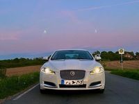 Gebraucht Jaguar XF 200 PS (147 kW) 2015 Weiß Limousine