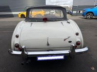 Gebraucht Austin Healey 100/6 117 PS (86 kW) 1957 Weiß Cabrio