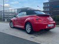 Gebraucht VW Beetle 150 PS (110 kW) 2016 Rot Kleinwagen
