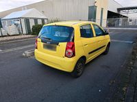 Gebraucht Kia Picanto 65 PS (47 kW) 2009 Gelb Kleinwagen