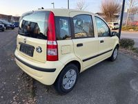 Gebraucht Fiat Panda Dynamic 60 PS (44 kW) 2009 Beige Kleinwagen