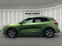 Gebraucht Ford Kuga ST-Line X 150 PS (110 kW) 2024 Bursting green SUV