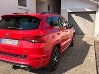 Usata Cupra Ateca 300 CV (220 kW) 2018 Rosso SUV