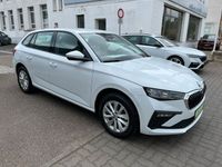 Neu Skoda Scala Selection 116 PS (85 kW) 2025 Kristallweiß Kleinwagen