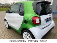 gebraucht Smart ForTwo Electric Drive forTwo coupe / EQ Klima Alu