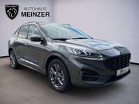 Gebraucht Ford Kuga ST-Line X 152 PS (111 kW) 2020 Grau SUV