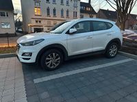 Gebraucht Hyundai Tucson 177 PS (130 kW) 2020 Weiß SUV