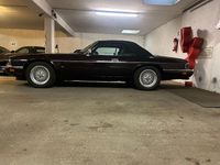 Gebraucht Jaguar XJS 302 PS (222 kW) 1993 Cabrio