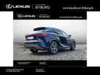 Neu Lexus RX450h Business Edition 309 PS (227 kW) 2026 Blau SUV