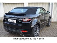 gebraucht Land Rover Range Rover evoque Cabriolet SE Dynamic Leder NAVI Garantie