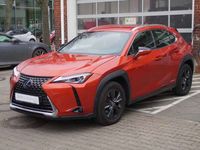 gebraucht Lexus UX 250h Launch Edition * Navigation * ACC/PCS *