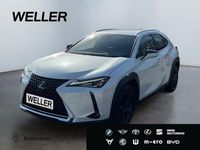 Gebraucht Lexus UX 250h 184 PS (135 kW) 2020 Titaniumweiß metallic SUV