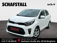 Gebraucht Kia Picanto Vision 67 PS (49 kW) 2024 Weiss ((ud) schneeweiss) Kleinwagen