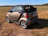 Gebraucht Smart ForTwo Cabrio 54 PS (39 kW) 2011 Braun Cabrio