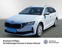 Gebraucht Skoda Octavia Selection 150 PS (110 kW) 2025 Weiß Kombi