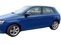 Gebraucht Skoda Fabia Active 60 PS (44 kW) 2019 Blau Kleinwagen