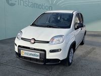 Neu Fiat Panda 69 PS (50 kW) 2025 Weiß Kleinwagen