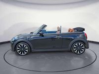 Gebraucht Mini Cooper Cabriolet 136 PS (100 kW) 2024 Midnight black metallic Cabrio