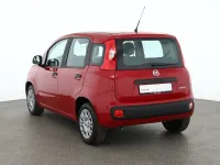 Neu Fiat Panda Connect 71 PS (52 kW) 2025 Rot Kleinwagen
