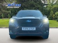 Gebraucht Subaru Forester 150 PS (110 kW) 2024 Grau SUV