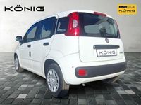 Gebraucht Fiat Panda 69 PS (50 kW) 2025 Weiß Limousine