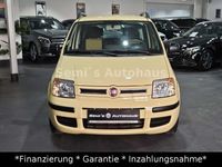 gebraucht Fiat Panda 1.2 8V Dynamic*Klima*Tüv Neu*