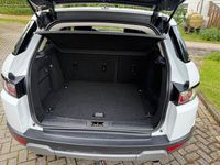 Gebraucht Land Rover Range Rover evoque Dynamic 190 PS (139 kW) 2014 Weiß SUV