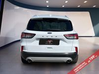 Gebraucht Ford Kuga Titanium 120 PS (88 kW) 2022 Weiß SUV