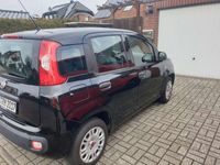 gebraucht Fiat Panda Easy schwarz 2017