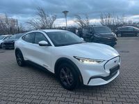 Gebraucht Ford Mustang Basis 294 PS (216 kW) 2022 Weiß Limousine