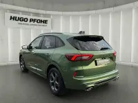 Gebraucht Ford Kuga ST-Line X 186 PS (136 kW) 2024 Grün SUV