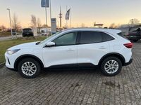 Gebraucht Ford Kuga Titanium 242 PS (177 kW) 2025 Weiß SUV