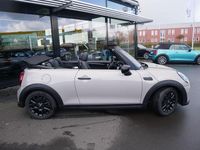Gebraucht Mini Cooper Cabriolet 136 PS (100 kW) 2023 Grau Cabrio