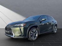 Gebraucht Lexus UX 250h 184 PS (135 kW) 2023 Terrane khaki SUV