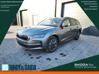 Neu Skoda Octavia 150 PS (110 kW) 2026 Grau Kombi