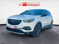 Gebraucht Opel Grandland X Design Edition 131 PS (96 kW) 2021 Weiß SUV