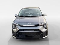 Neu Kia Picanto Vision 68 PS (50 kW) 2026 Grau Kleinwagen