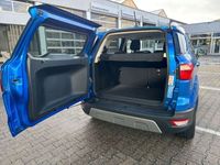 gebraucht Ford Ecosport Titanium 1.0 *PDC*LRH*Tempo*SHZ*RFK*Navi*DAB*