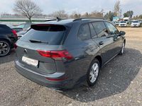 Gebraucht VW Golf VIII Life 150 PS (110 kW) 2023 Other Limousine