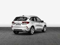 Neu Ford Kuga ST-Line X 180 PS (132 kW) 2026 Weiß SUV