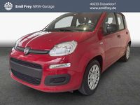 Neu Fiat Panda Icon 65 PS (47 kW) 2026 Rot Kleinwagen
