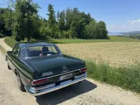 Gebraucht Mercedes 280 SE 160 PS (117 kW) 1968 Grün Coupé
