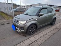 Gebraucht Suzuki Ignis 83 PS (61 kW) 2020 Grün Limousine