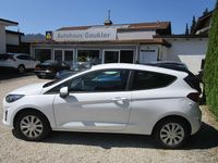Gebraucht Ford Fiesta Trend 75 PS (55 kW) 2022 Frozen white Kleinwagen