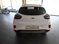 Gebraucht Ford Puma Titanium X 155 PS (114 kW) 2020 Weiß SUV